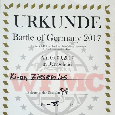 BoG Kickboxen - 2. Platz (2017)