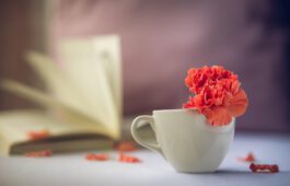 Demenz-Café Zeitblüte