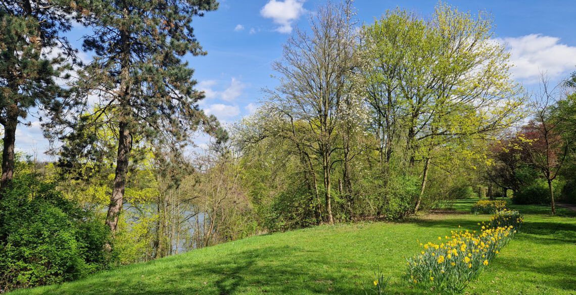 Qigong und Gehen in Stille