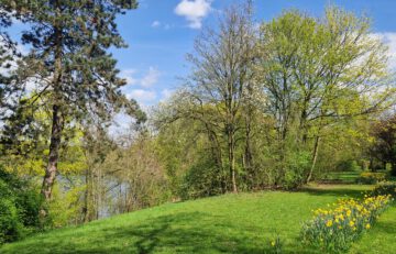 Qigong und Gehen in Stille