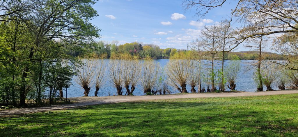 Qigong und Gehen in Stille (Moers und Duisburg)