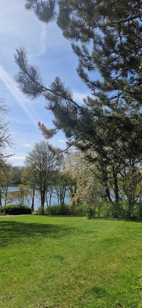 Qigong und Gehen in Stille (Moers und Duisburg)